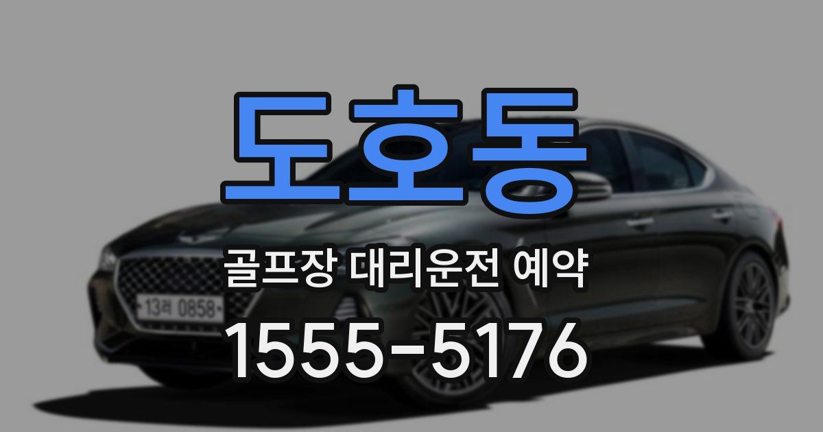 도호동 골프장 대리운전 예약
