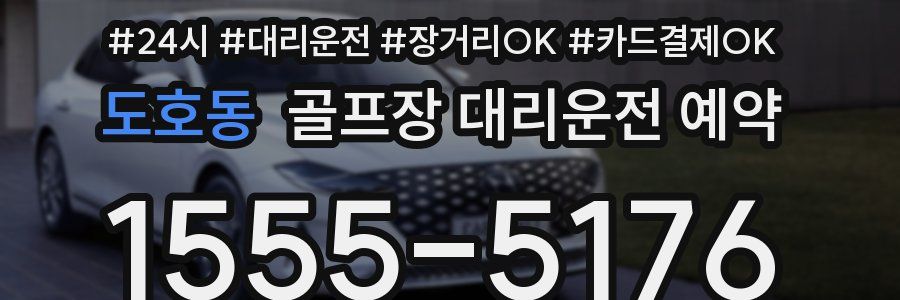 도호동 골프장 대리운전 예약