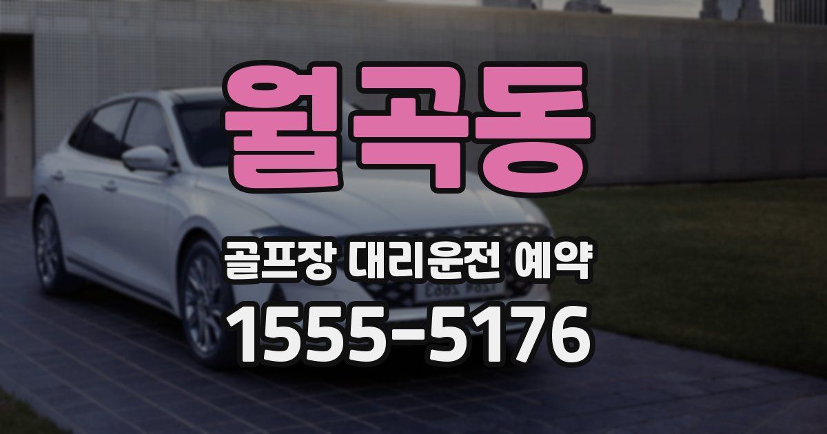 월곡동 골프장 대리운전 예약