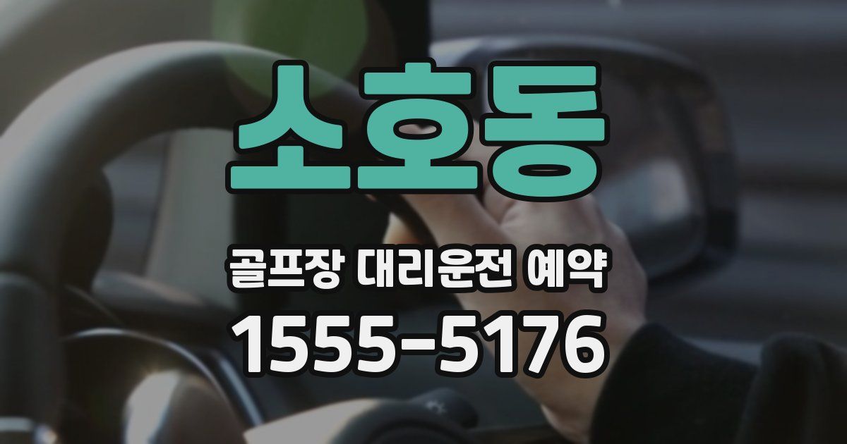 소호동 골프장 대리운전 예약