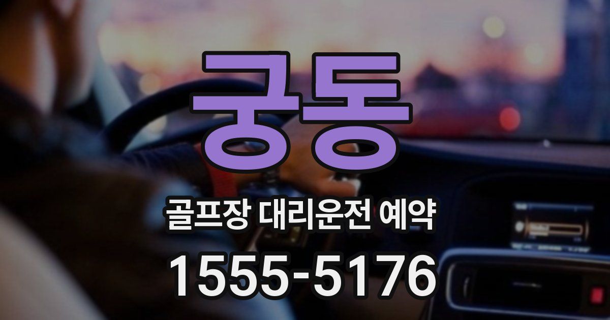 궁동 골프장 대리운전 예약