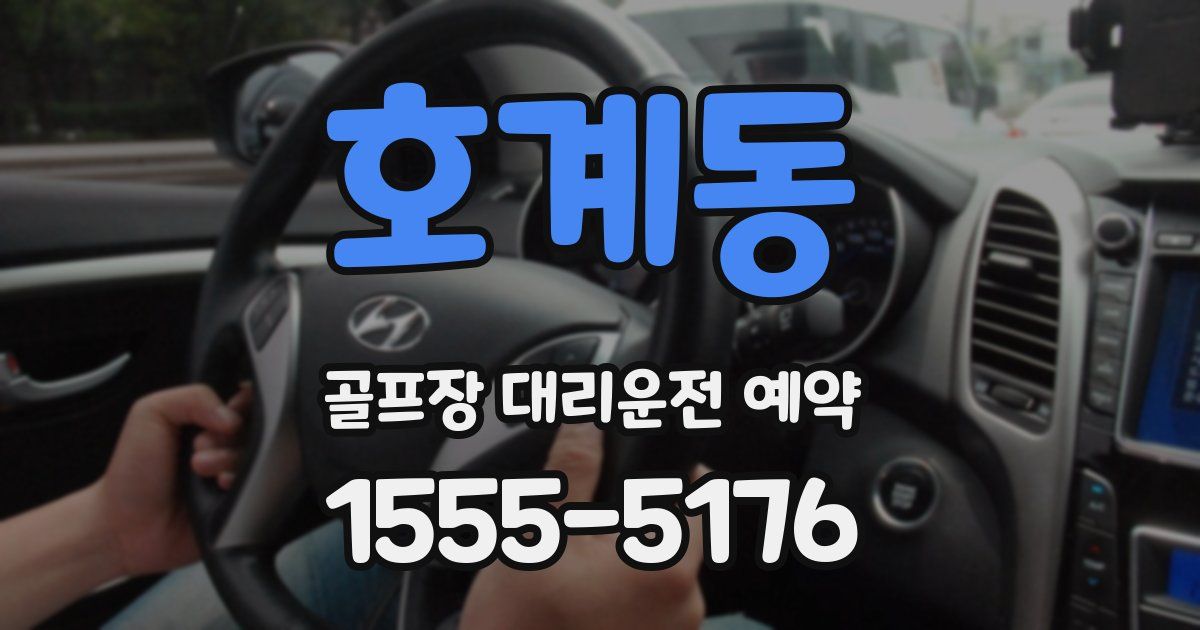 호계동 골프장 대리운전 예약