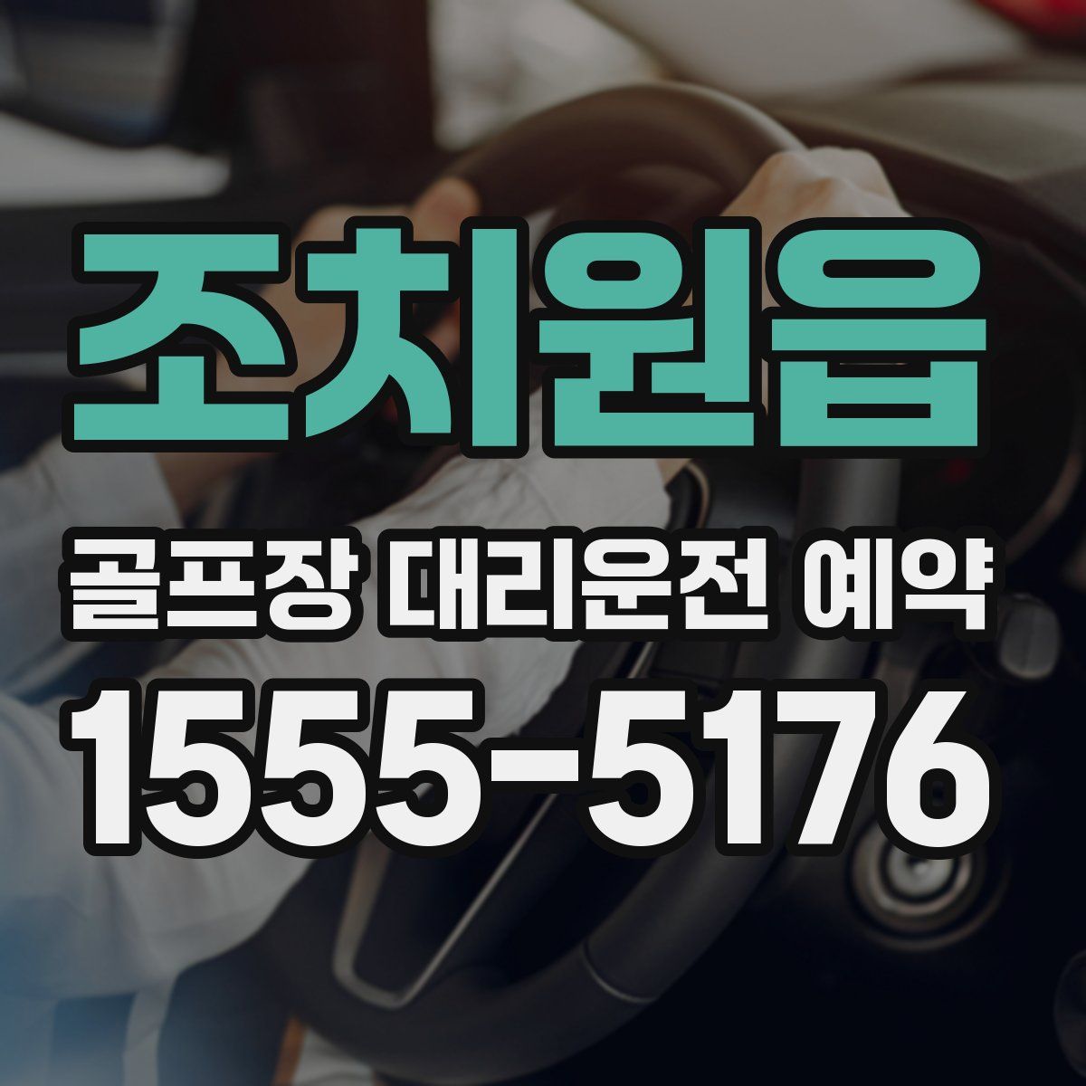 조치원읍 골프장 대리운전 예약