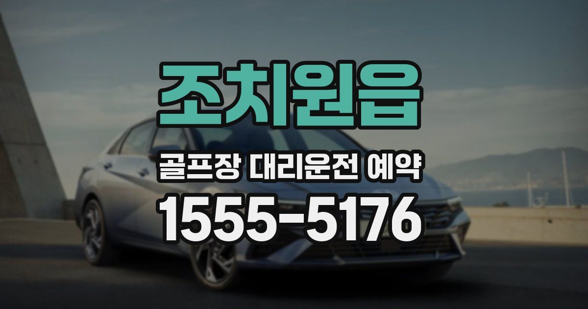 조치원읍 골프장 대리운전 예약