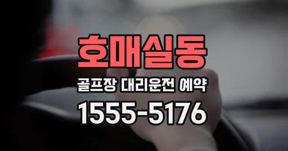 호매실동 골프장 대리운전 예약