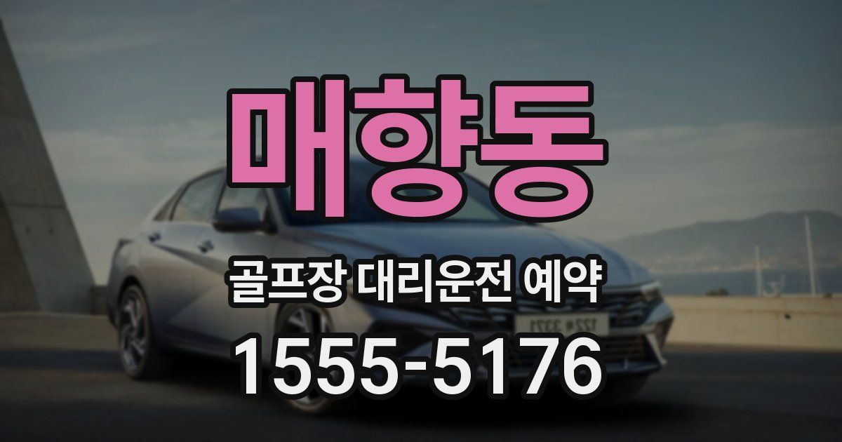 매향동 골프장 대리운전 예약