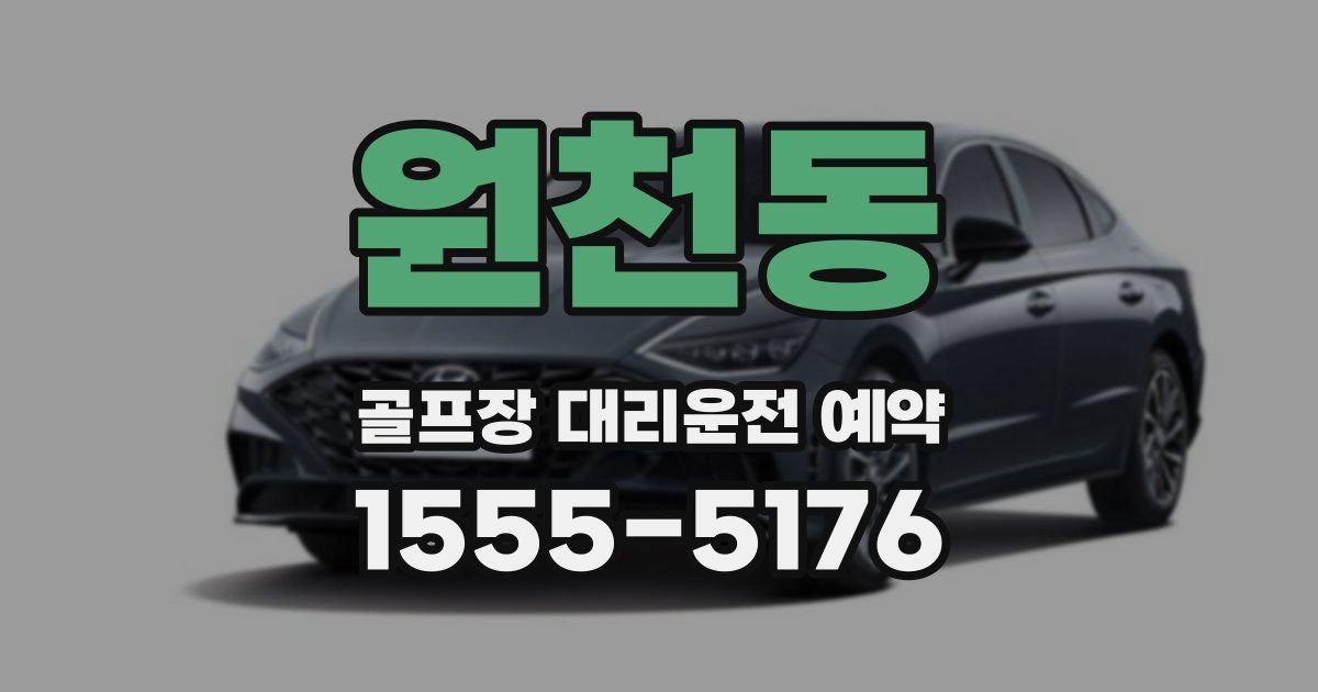 원천동 골프장 대리운전 예약