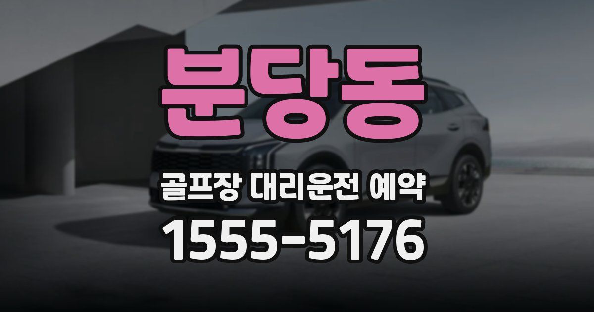 분당동 골프장 대리운전 예약
