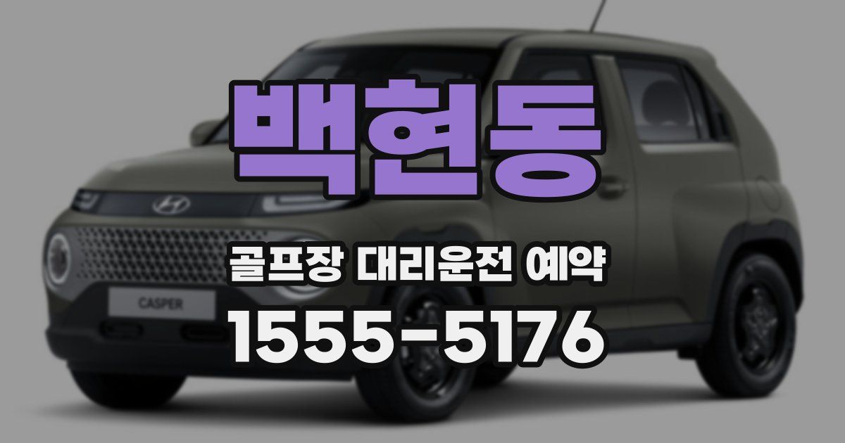 백현동 골프장 대리운전 예약
