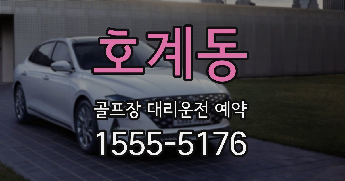 호계동 골프장 대리운전 예약