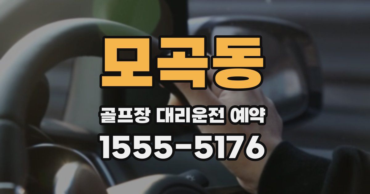 모곡동 골프장 대리운전 예약