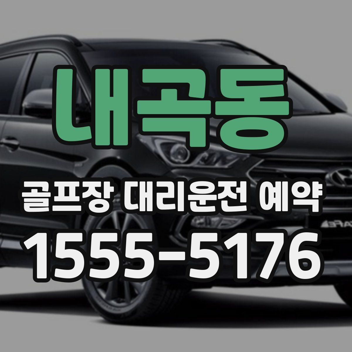 내곡동 골프장 대리운전 예약