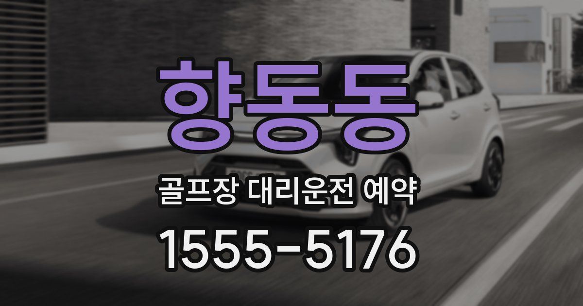 향동동 골프장 대리운전 예약