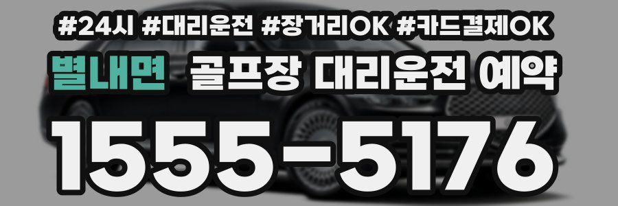별내면 골프장 대리운전 예약