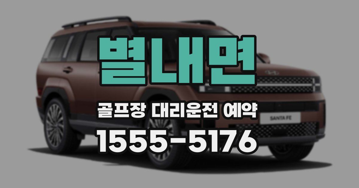 별내면 골프장 대리운전 예약