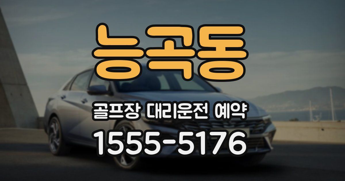 능곡동 골프장 대리운전 예약