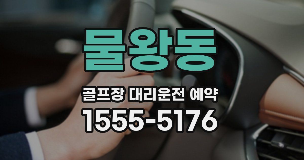 물왕동 골프장 대리운전 예약