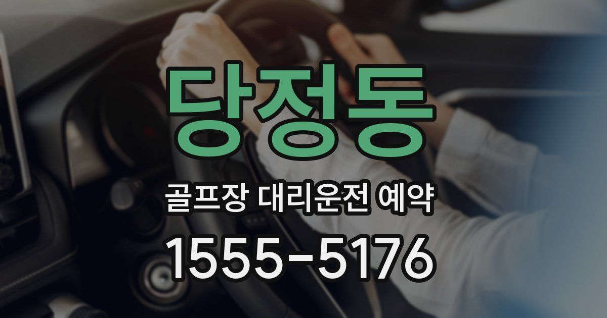 당정동 골프장 대리운전 예약