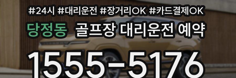당정동 골프장 대리운전 예약