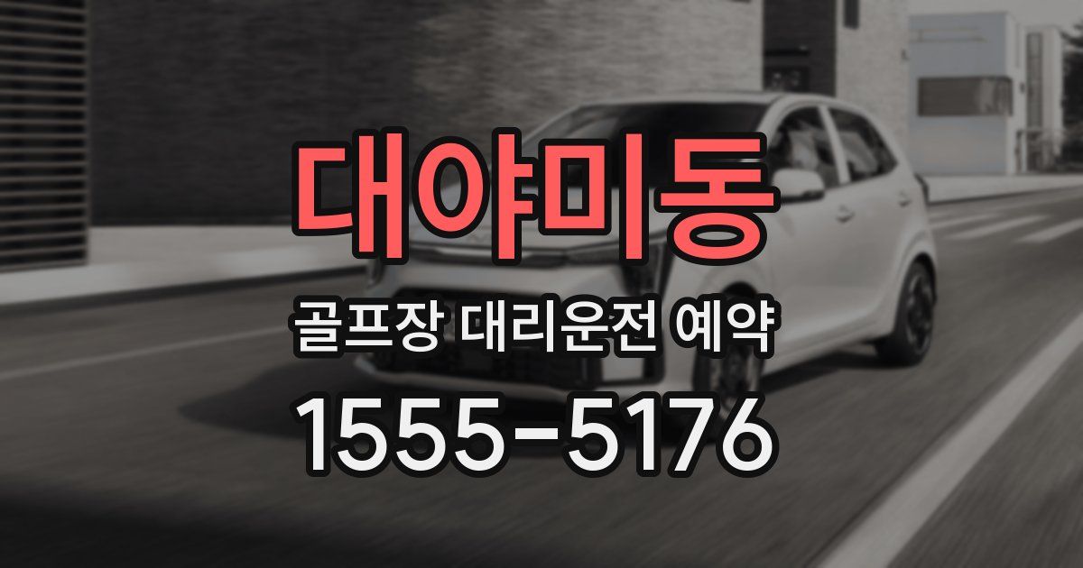 대야미동 골프장 대리운전 예약