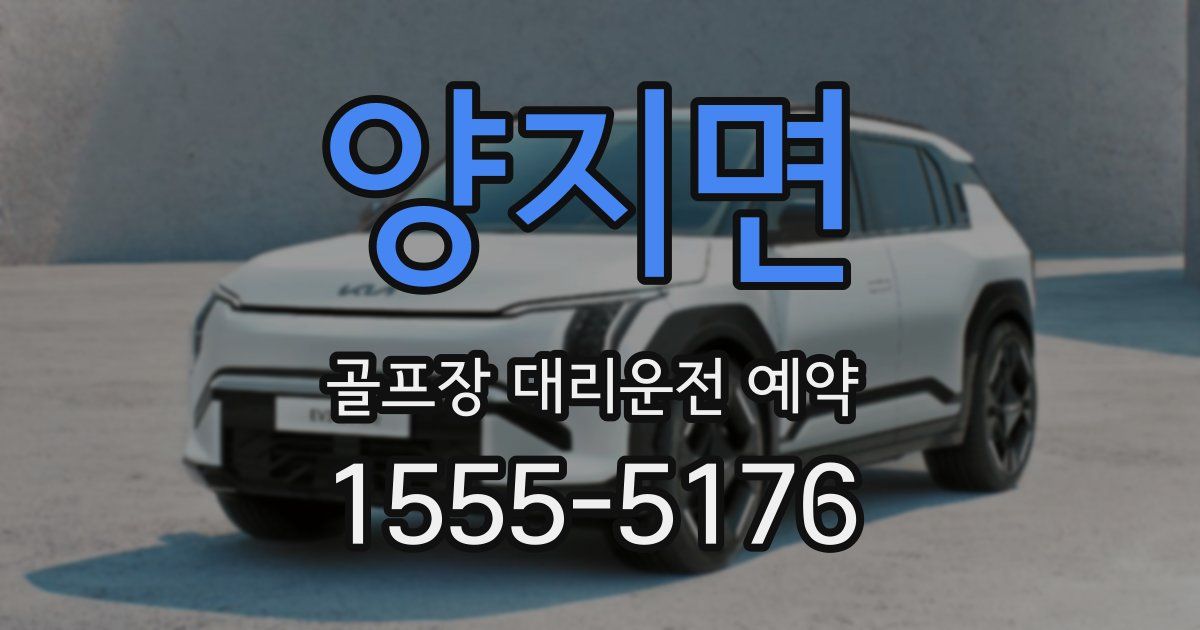 양지면 골프장 대리운전 예약