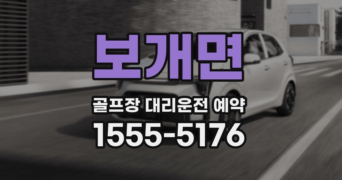 보개면 골프장 대리운전 예약