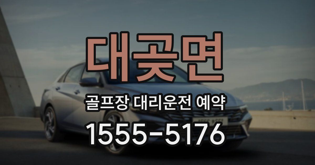 대곶면 골프장 대리운전 예약
