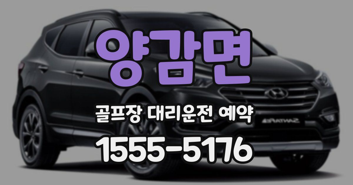 양감면 골프장 대리운전 예약