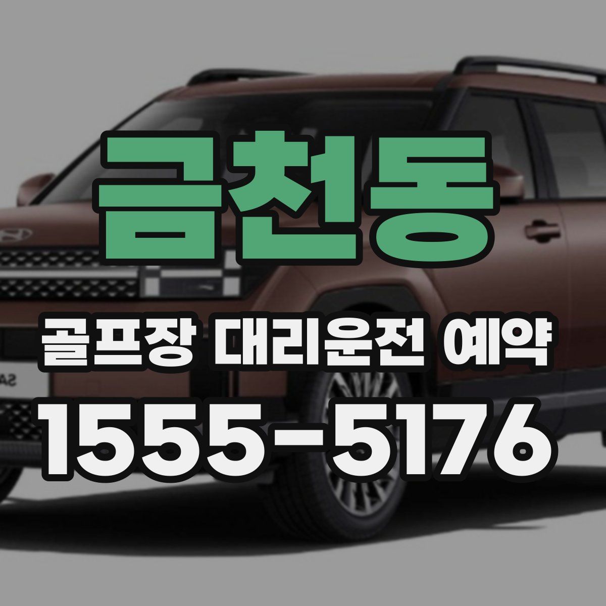 금천동 골프장 대리운전 예약