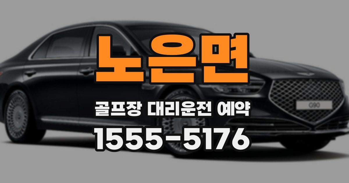 노은면 골프장 대리운전 예약