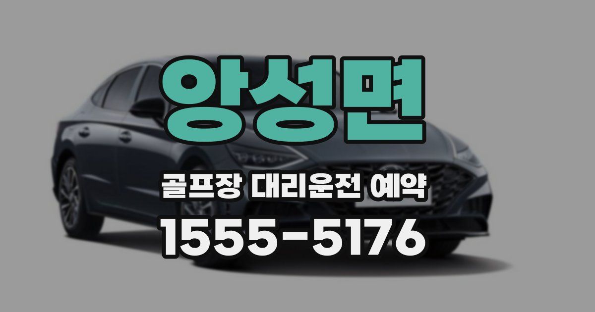 앙성면 골프장 대리운전 예약
