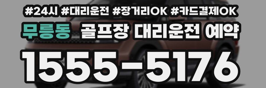 무릉동 골프장 대리운전 예약