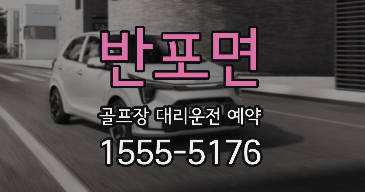 반포면 골프장 대리운전 예약