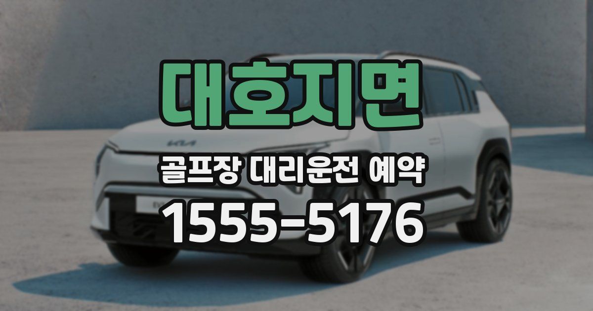 대호지면 골프장 대리운전 예약