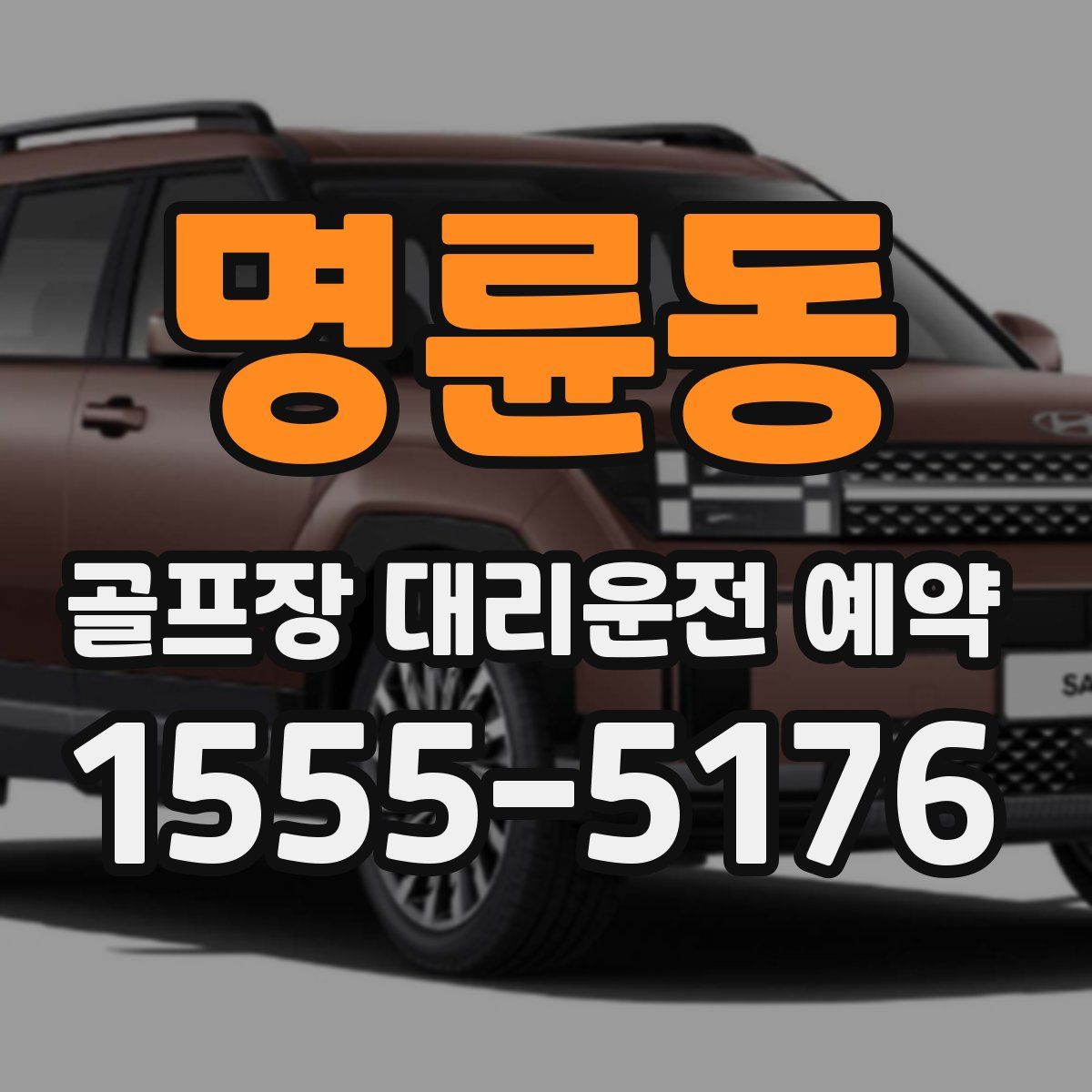 명륜동 골프장 대리운전 예약