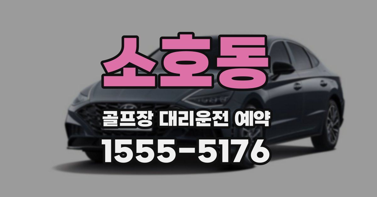 소호동 골프장 대리운전 예약