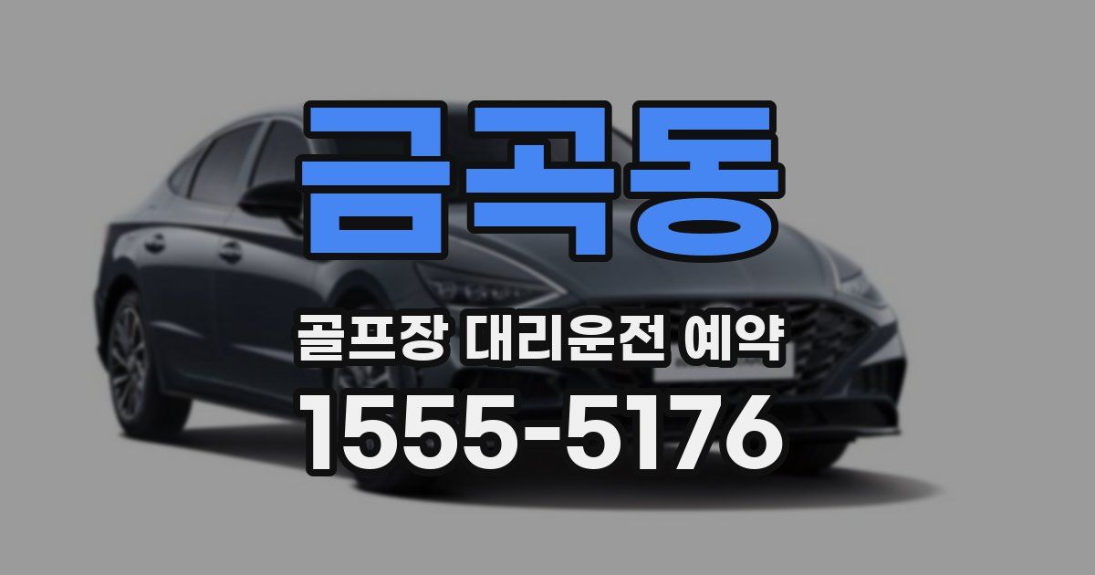 금곡동 골프장 대리운전 예약