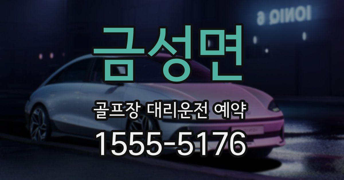 금성면 골프장 대리운전 예약