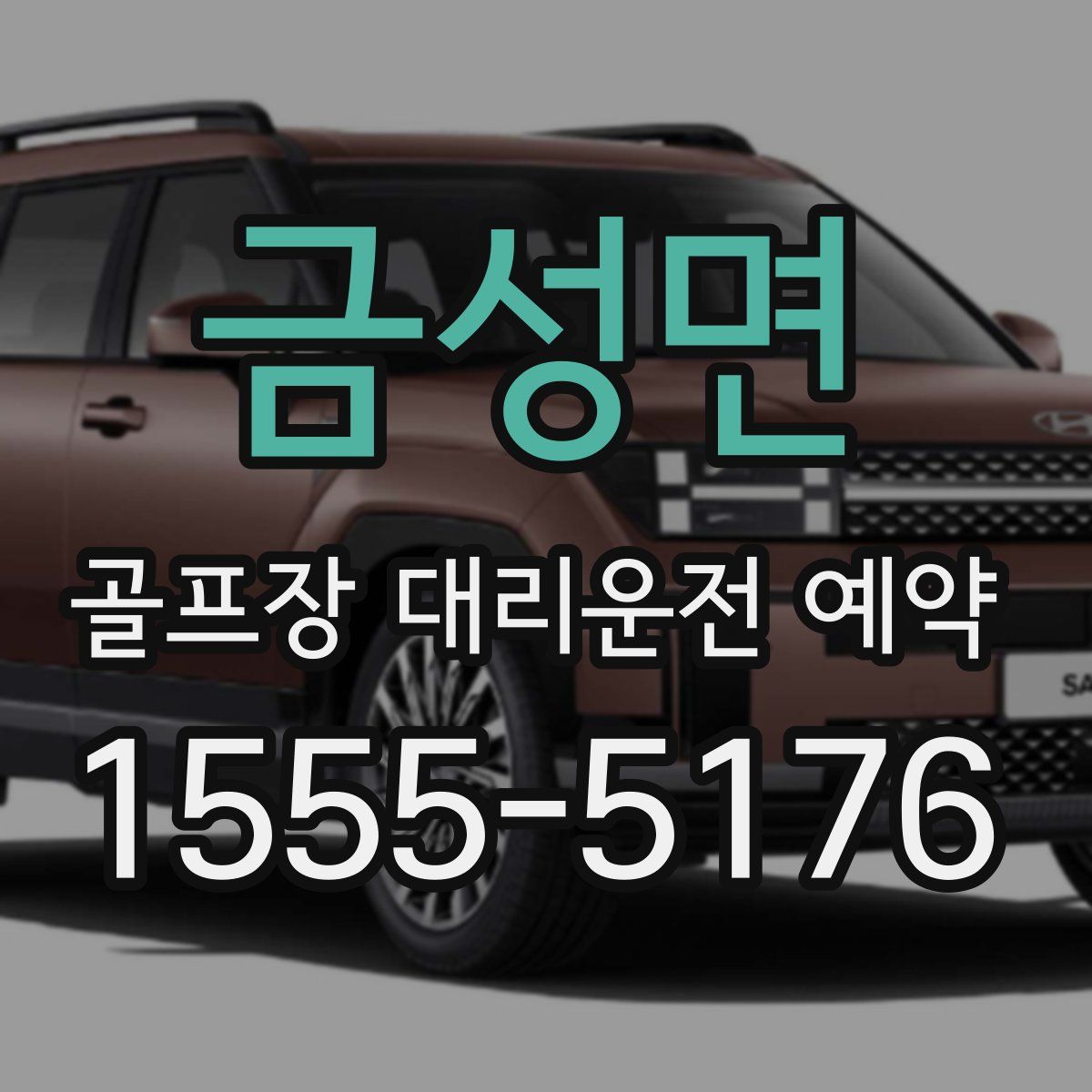 금성면 골프장 대리운전 예약