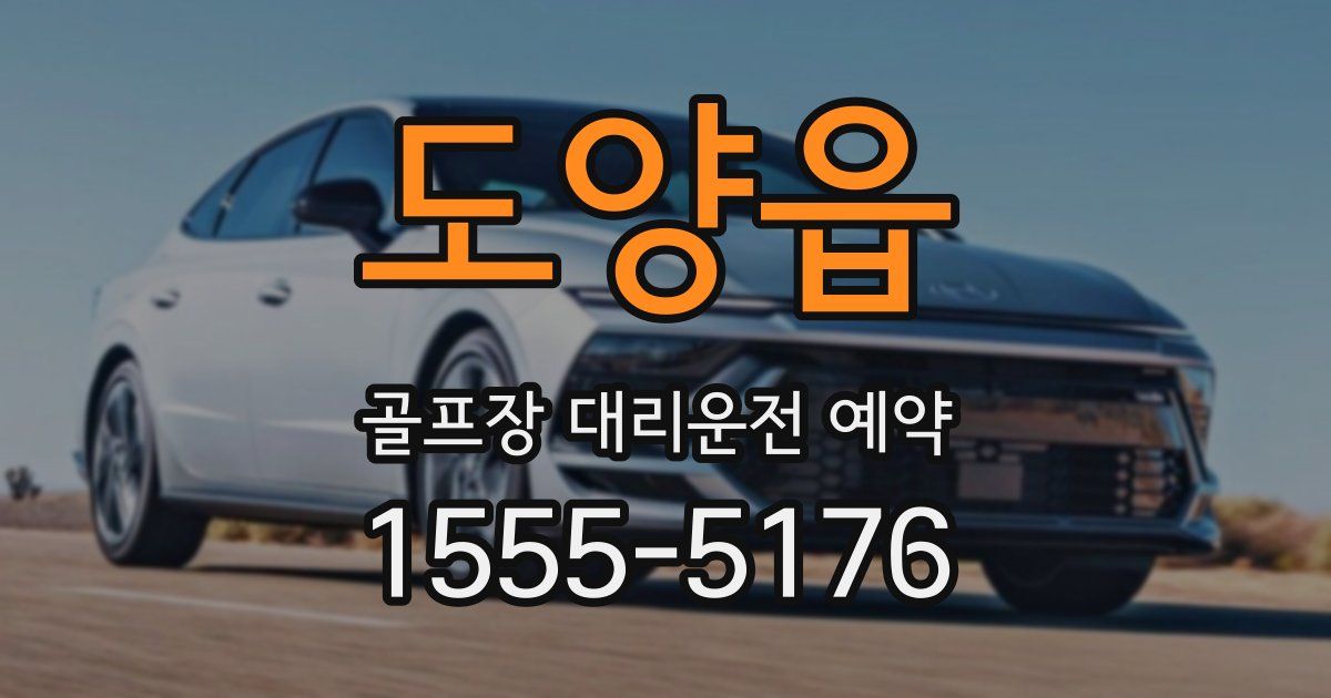도양읍 골프장 대리운전 예약