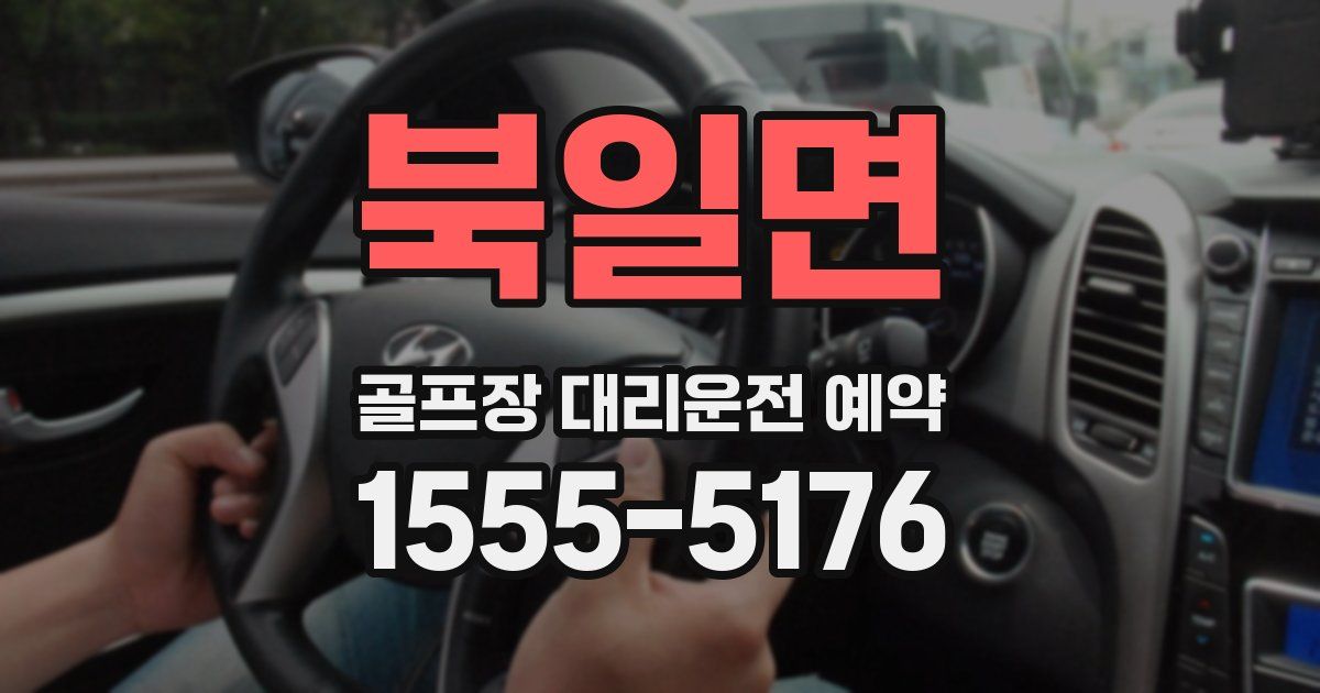 북일면 골프장 대리운전 예약