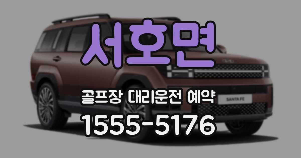 서호면 골프장 대리운전 예약