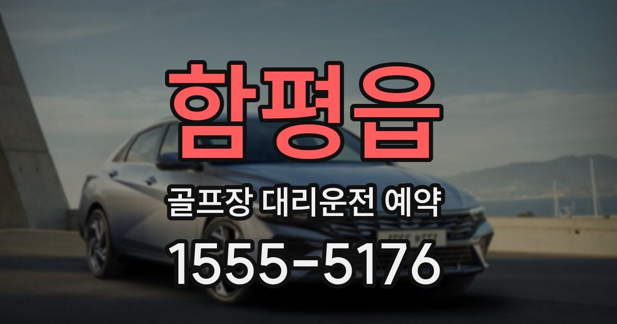 함평읍 골프장 대리운전 예약