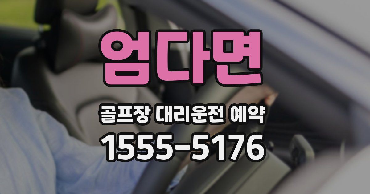 엄다면 골프장 대리운전 예약