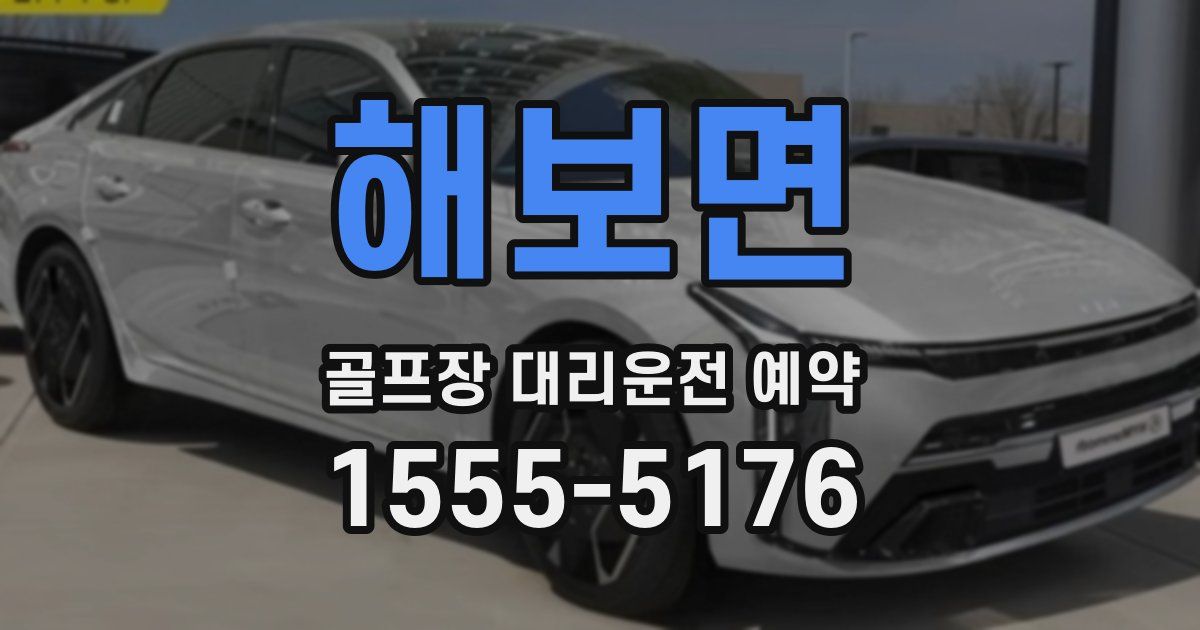 해보면 골프장 대리운전 예약