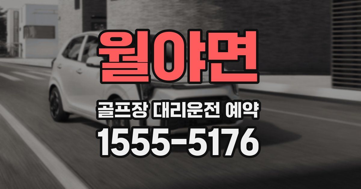 월야면 골프장 대리운전 예약