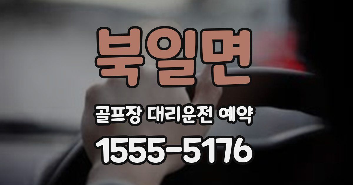 북일면 골프장 대리운전 예약