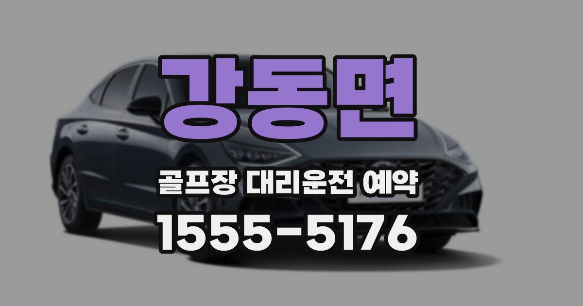 강동면 골프장 대리운전 예약