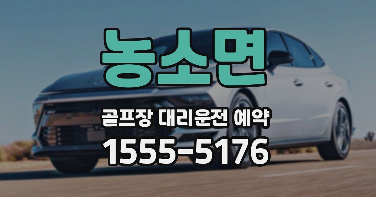 농소면 골프장 대리운전 예약
