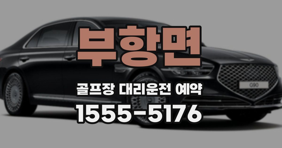 부항면 골프장 대리운전 예약